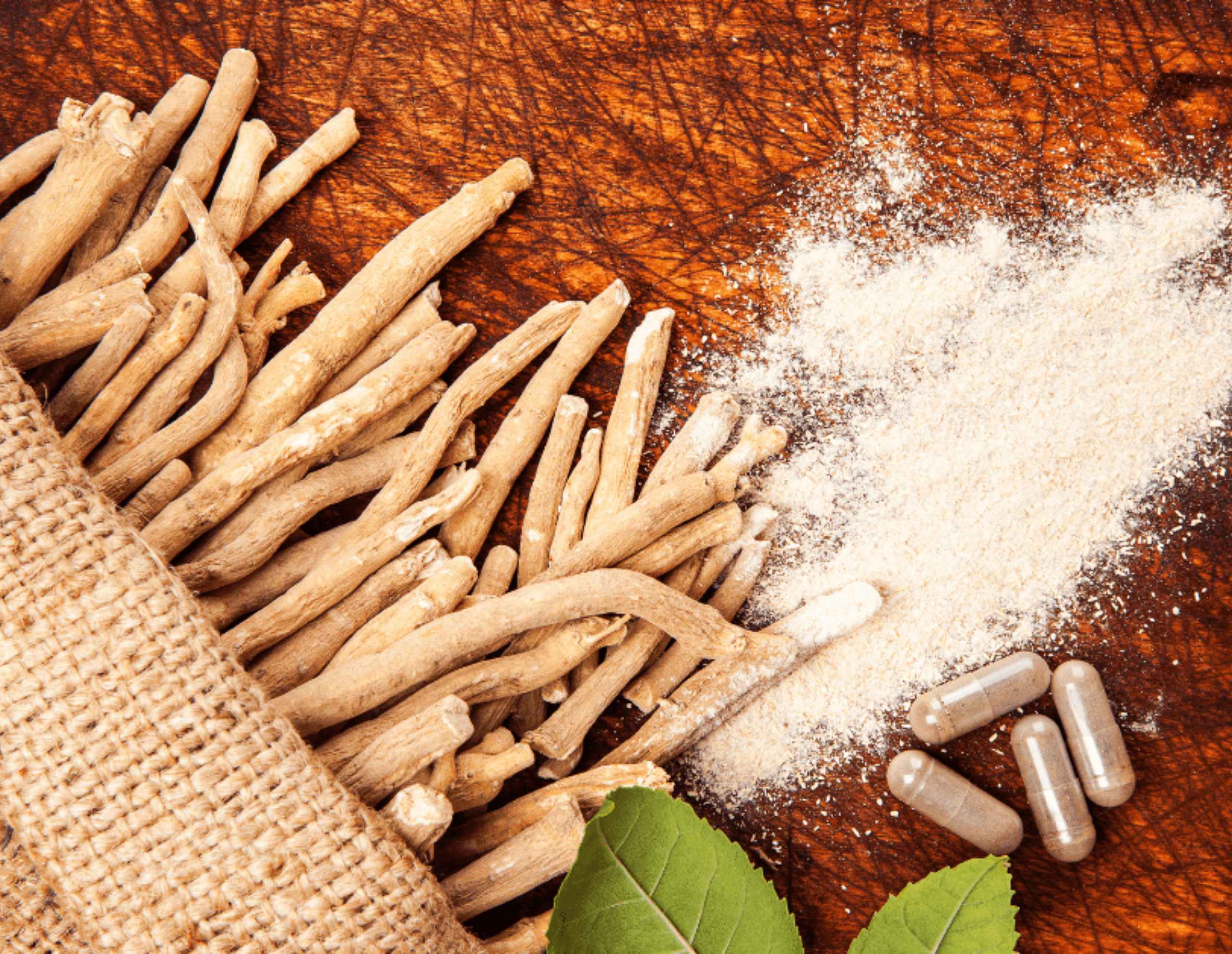 Kacie Barlow- Barlow & Studio SEO Writing for Little Bean App